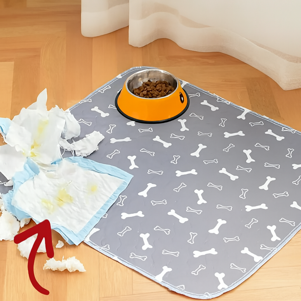 Tapis pour chien| Lavable Imperméable