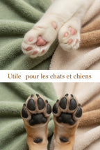 Tondeuse poils de chien et chat