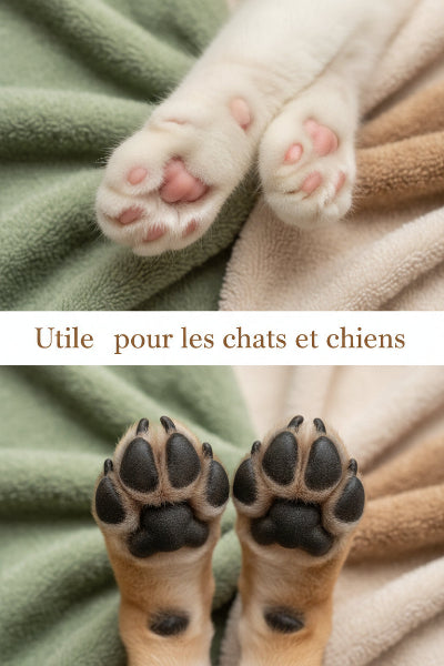 Tondeuse poils de chien et chat